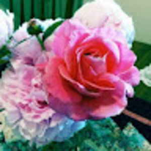 Meet your Posher, Deb